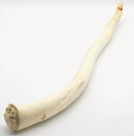 Ossestaart 35-45CM
