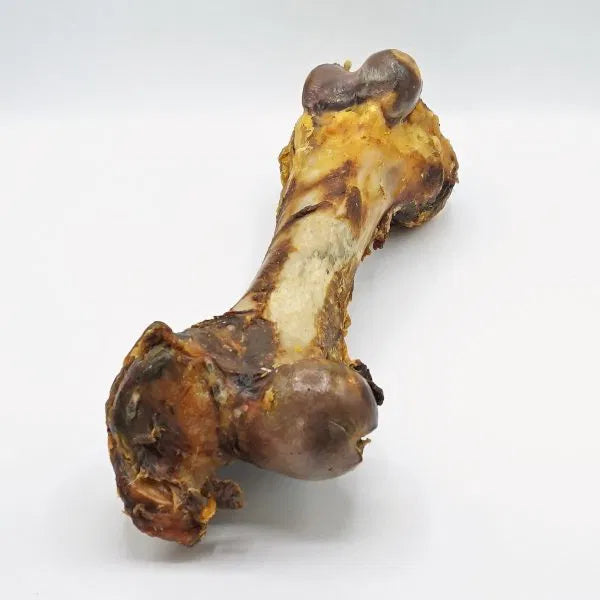 Dino XXL verpakt