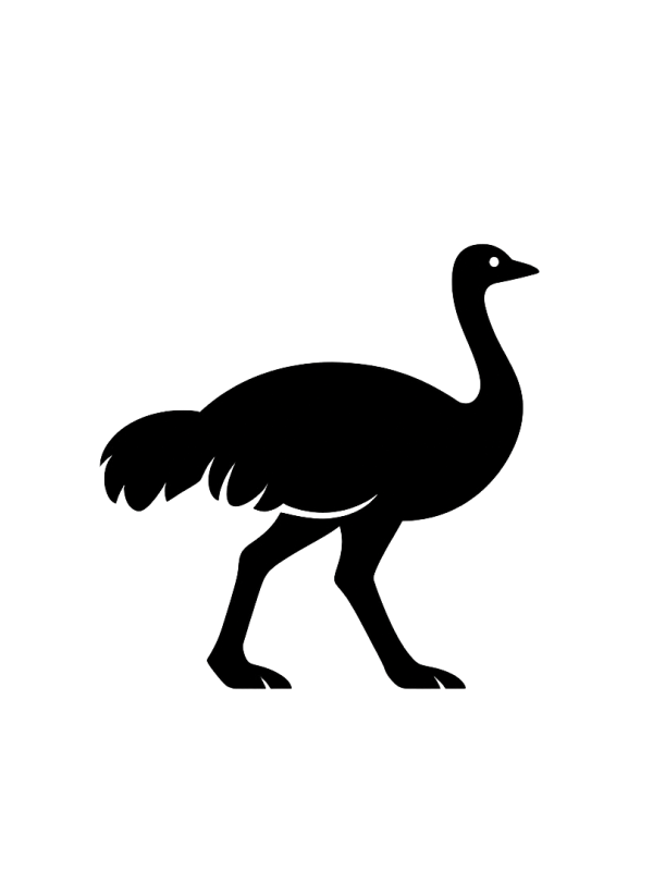 Struisvogel