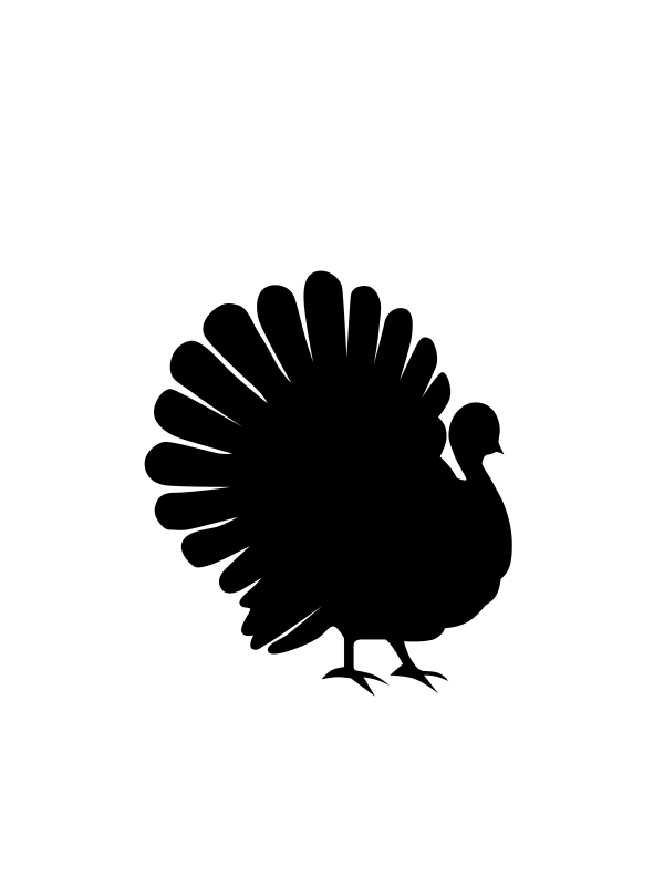 Kalkoen