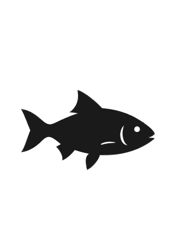 Vis