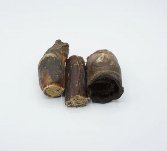 Paardenpenis